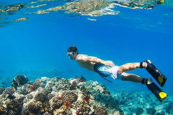 Snorkeling Ibiza