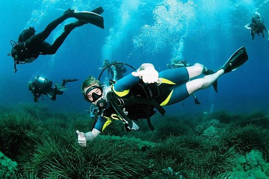 Qué deportes acuáticos se pueden practicar en Ibiza
