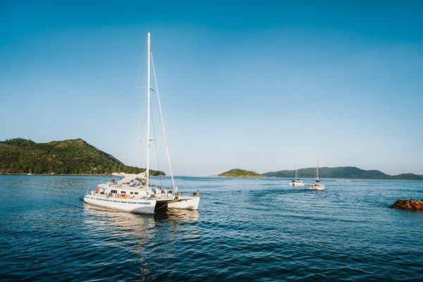 Catamaranes de vacaciones: ¿por qué son la mejor opción?
